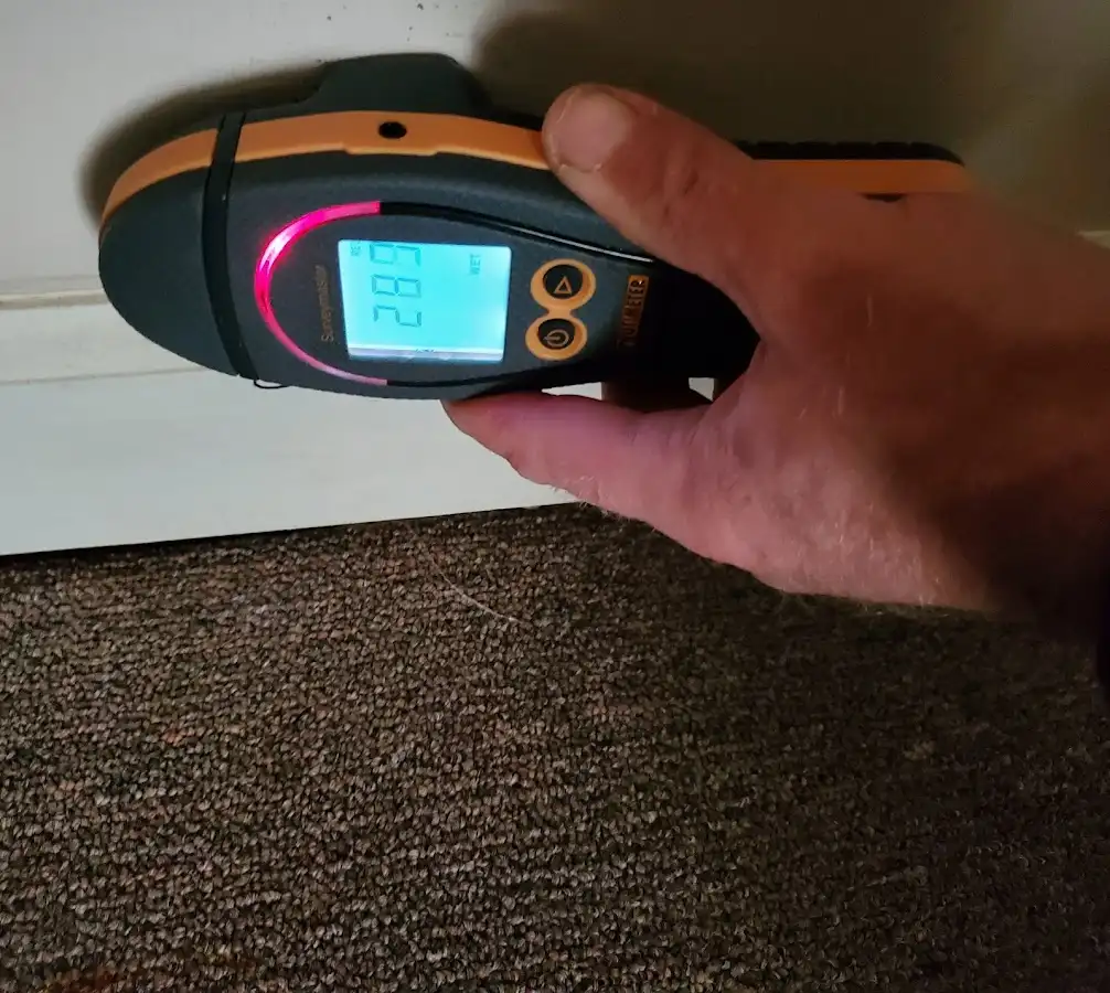 Moisture detection at baseboard during Mold Inspection & Testing in Porterville